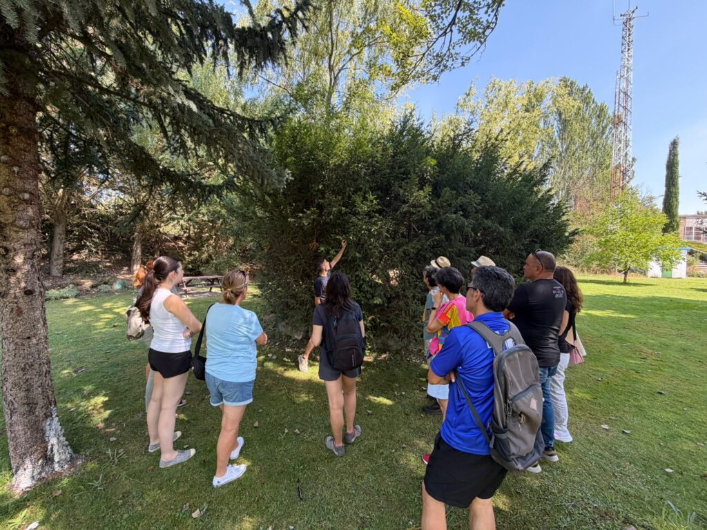 Participantes en una actividad de Herrera Etnobotánica observando e identificando plantas y saberes locales.
